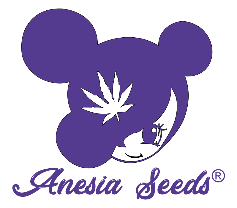 Anesia